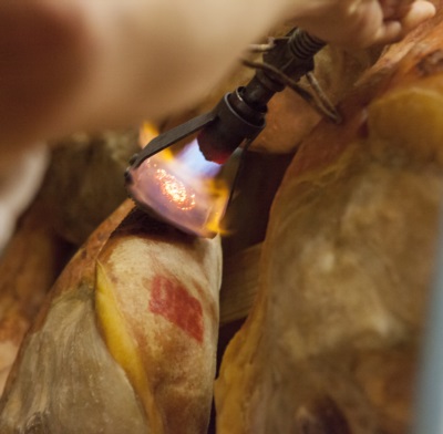 Particolare della marchiatura n. 36 Prosciutto San Daniele Coradazzi 